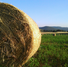 hay bale in umbria italy